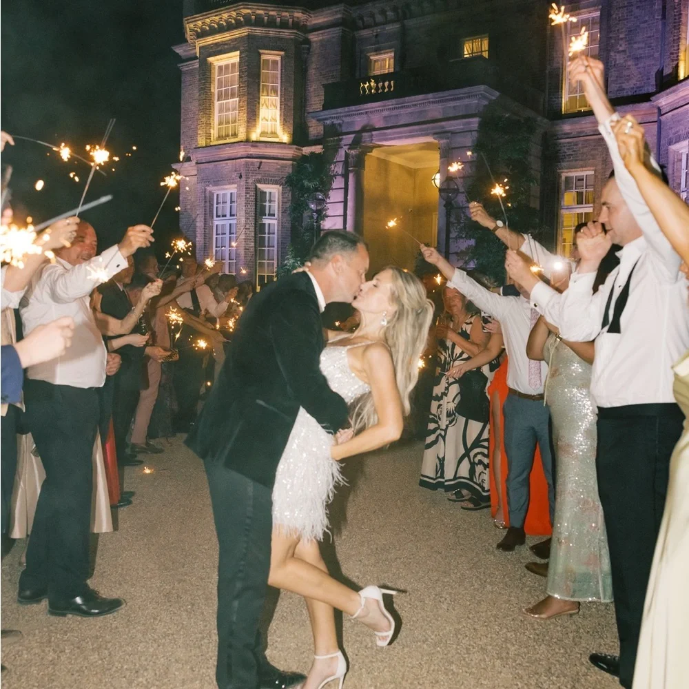 Nadine Merabi Christy Dress Second Dress - Picture 3 of 4